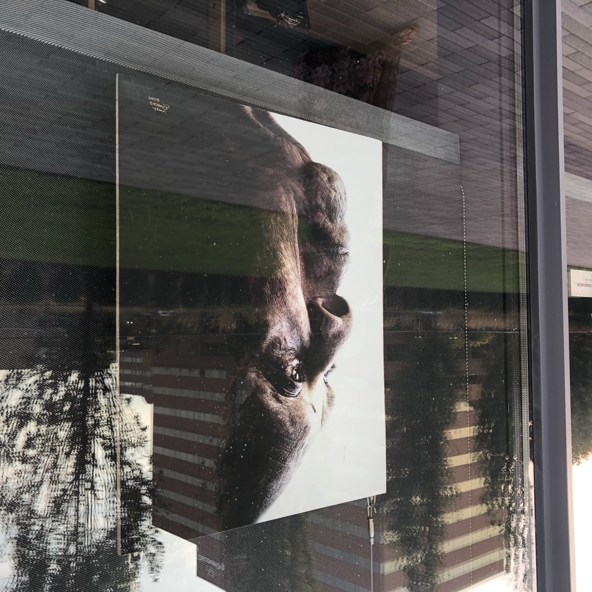 A portrait painting in the window display